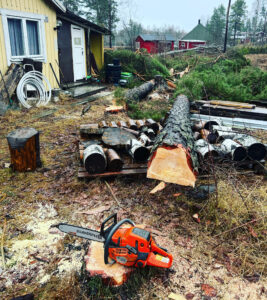 Arboristtjänster Trädfällning Träd & Ved Entreprenörerna