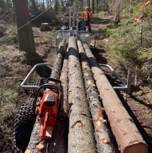 Arboristtjänster Trädfällning Skotning Träd & Ved Entreprenörerna