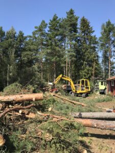 Skonsam skotning Träd & Ved Entreprenörerna