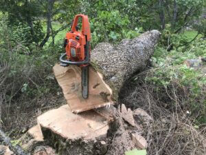 Trädfällning Avverkning Träd & Ved Entreprenörerna