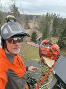 Arboristtjänster Sektionsfällning Träd & Ved Entreprenörerna