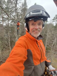 Träd & Ved Entreprenörerna - Sektiosnfällning